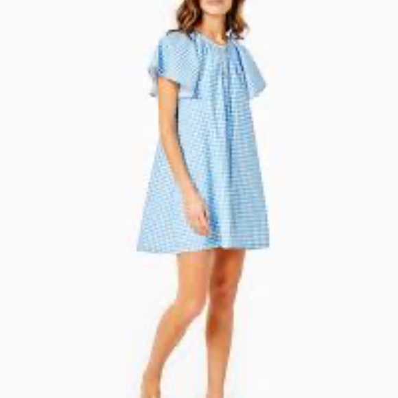 Addison Bay Cotton Poplin Rosecliff Dress, Blue Gingham Check, XL - Picture 2 of 9